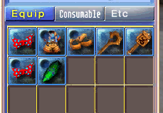 Screenshot of bug where equipment has slots